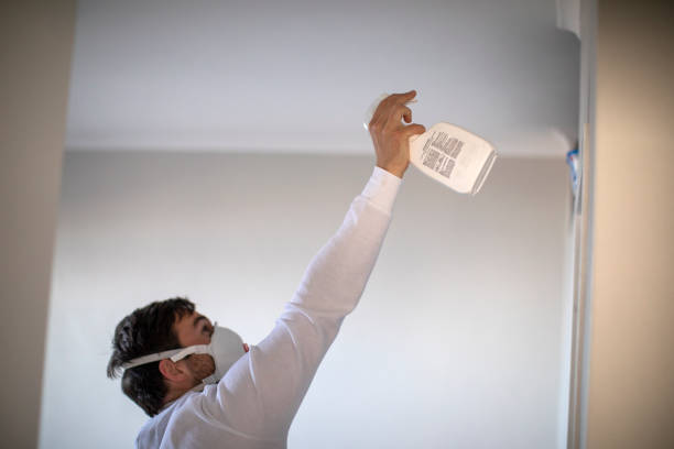Best Water Damage Restoration  in West York, PA
