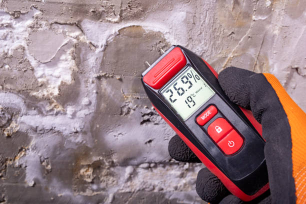 Best Toxic Mold Removal  in West York, PA