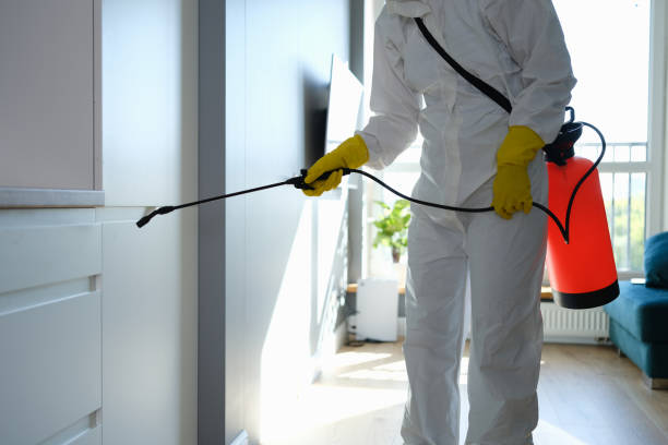 Best Best Mold Removal Companies  in West York, PA