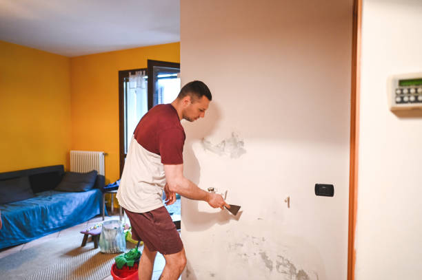 Reliable West York, PA Mold Removal Solutions